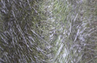 Sheriffs Lench fibreglass roof work